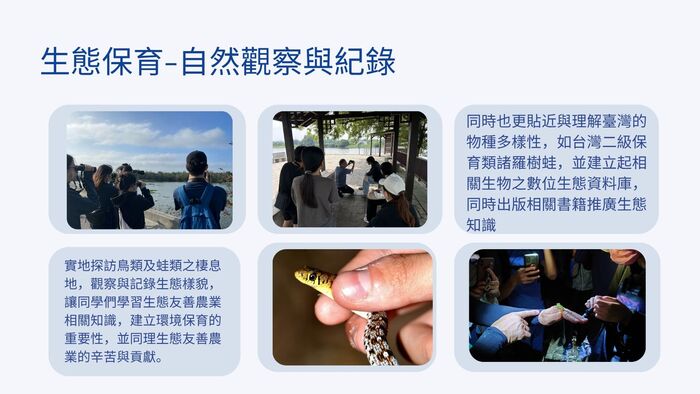 自然觀察與紀錄